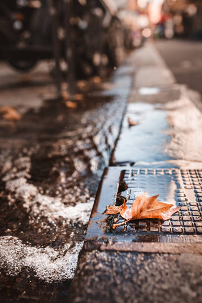 istock Lonely yellow autumn leaf on the sidewalk after heavy rain water flow 1343311684