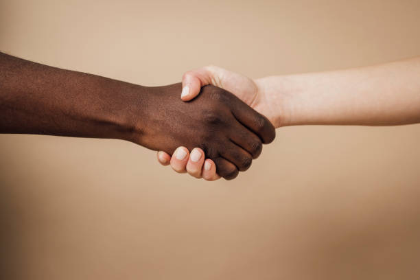 istock Studio shot of a multiracial handshake 1343313466