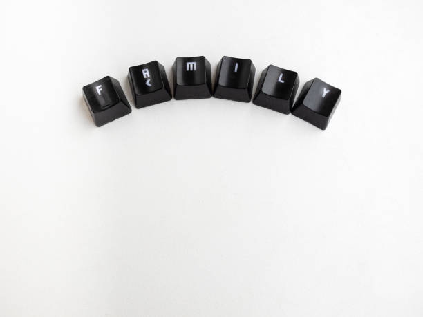 istock Keys with the word family with white background 1343322613