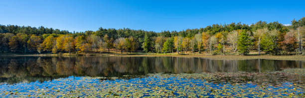 istock Scenic beautiful autumn lake scenery in Blue Ridge Mountains. 1343322614