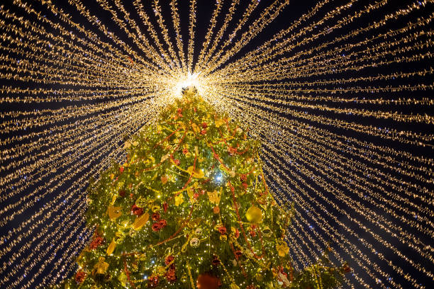 istock christmas tree iluminated with shining garland in christmas magic night 1343339604