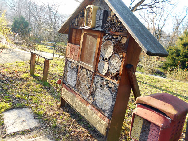 istock Beneficial insect hotel 1343340132