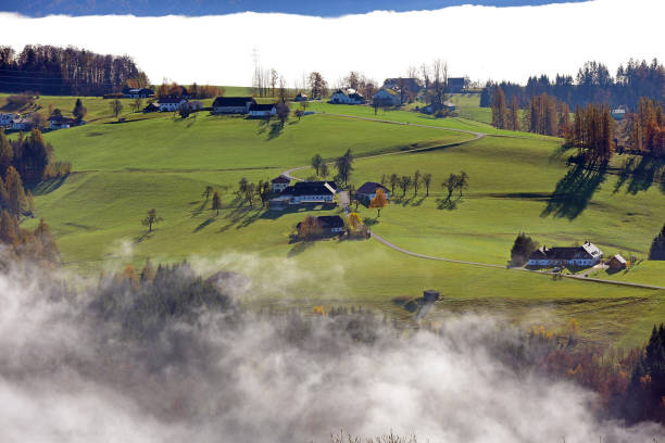 istock Sea of fog 1343342659