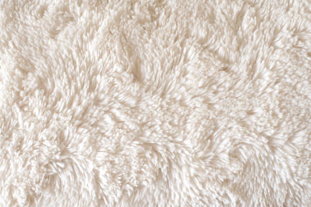 istock White faux fur 1343343822