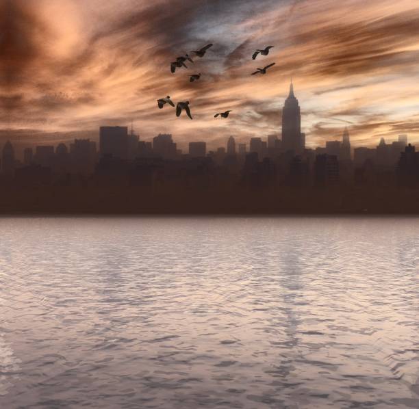 istock New York City Waterfront and Birds Flying 1343349852