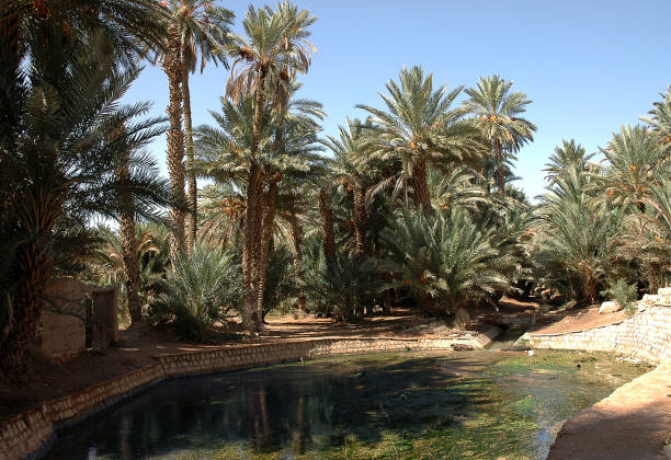istock Tafilalet and Rissani, south-eastern Morocco 1343351795
