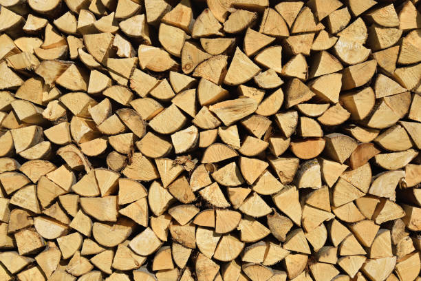 istock Logs of chopped firewood 1343358363