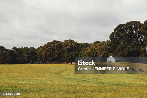 istock A small white barn and black wooden fence across a meadow against a treeline in autumn 1343358640