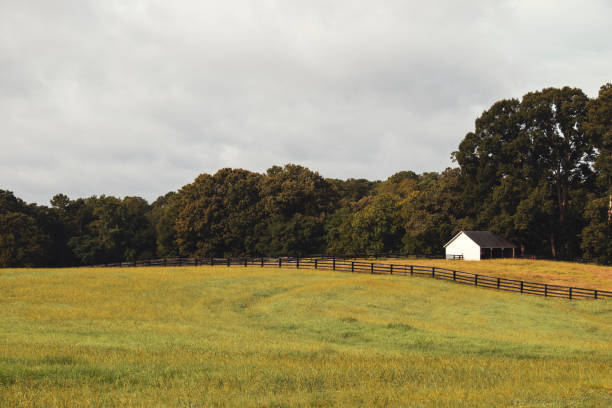 A small white barn and black wooden fence across a meadow against a treeline in autumn stock photo