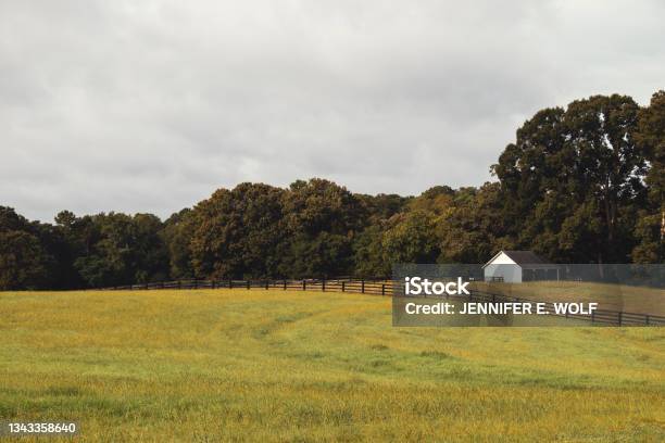 A Small White Barn And Black Wooden Fence Across A Meadow Against A Treeline In Autumn Stock Photo - Download Image Now