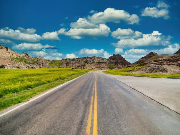 istock Lonely Country Road 1343369865