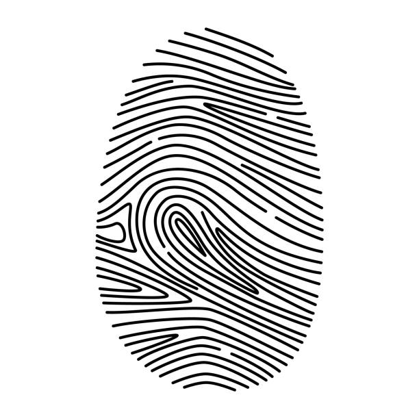 fingerabdruck. scan-symbol. fingerabdruck. persönliche identifikation, autorisierung. lineare zeichnung. vektorillustration. schwarzes symbol isoliert auf weißem hintergrund. fingerdrücken. code-verifizierung, passwort - individuality identity computer graphic forensic science stock-grafiken, -clipart, -cartoons und -symbole