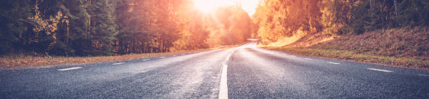 istock Asphalt road with beautiful trees on the sides in autumn 1343371631