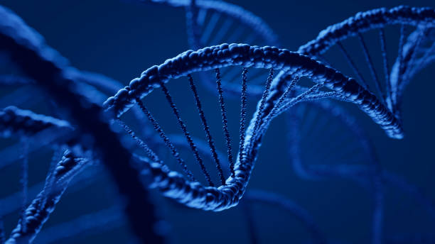 DNA DNA cloning photos stock pictures, royalty-free photos & images
