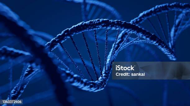 Dna Stock Photo - Download Image Now - DNA, Backgrounds, Helix