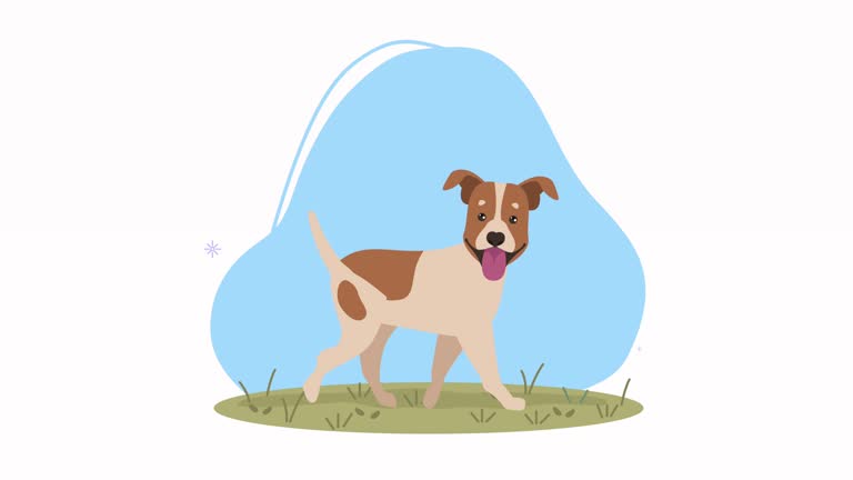 2,060 Dog Cartoon Stock Videos and Royalty-Free Footage - iStock | Hot dog cartoon, Dog cartoon vector, Rich dog cartoon 2,060 Dog Cartoon Stock Videos and Royalty-Free Footage - iStock | Hot dog cartoon, Dog cartoon vector, Rich dog cartoon