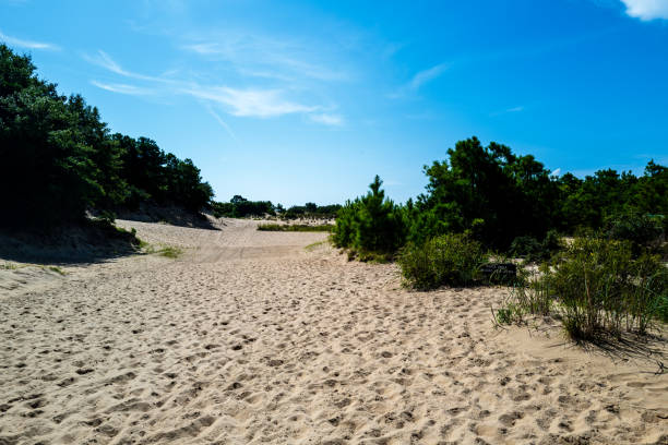 istock Jockey Ridge Sand Dunes 1 1343376442
