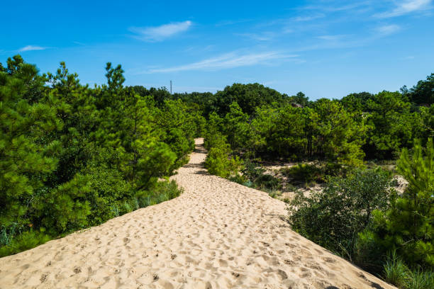 istock Jockey Ridge Sand Dunes 27 1343376651