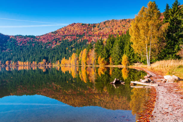 istock Saint Anne Lake. 1343384052
