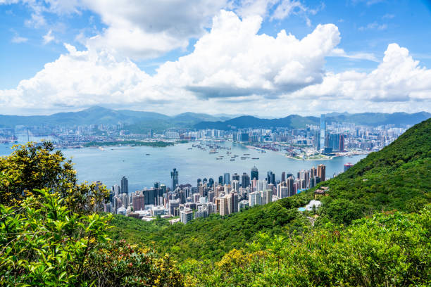istock The Hong kong City skyline 1343387261
