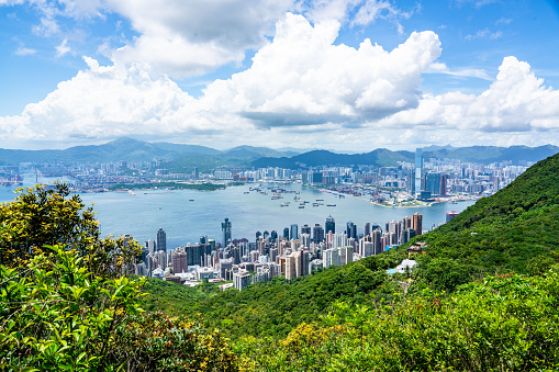 The Hong kong City skyline