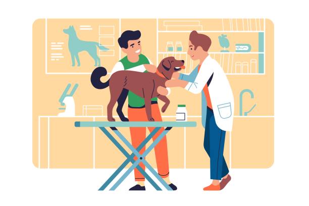 ilustrações, clipart, desenhos animados e ícones de veterinário examinando animais de estimação. o médico trata o cachorro. serviço de ajuda animal. dono com cachorrinho na clínica. especialista verificando a saúde de quatro amigos de pernas na mesa do veterinário. conceito veterinário vetorial - veterinary office