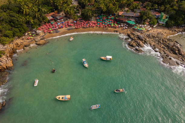 istock Boats on the tropical beach of Pernambuco 1343393385