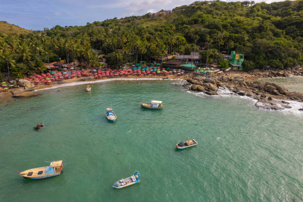 istock Boats on the tropical beach of Pernambuco 1343393390