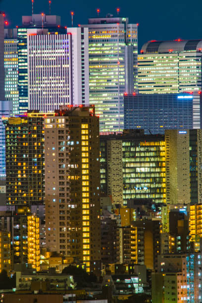 Shinjuku at night (taken from Bunkyo Civic Center). Shooting Location: Tokyo metropolitan area