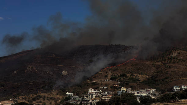 istock Aerial view of forest fire 1343398107