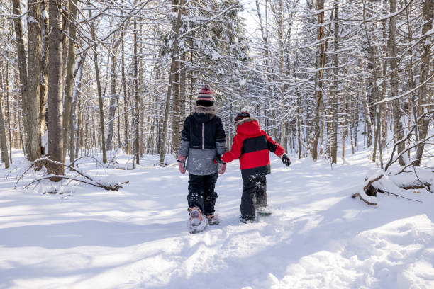 istock Brother and Sister Having Fun Snowshoeing Outdoors in Winter 1343399183