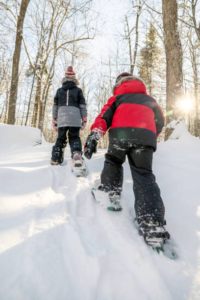 istock Brother and Sister Having Fun Snowshoeing Outdoors in Winter 1343399201