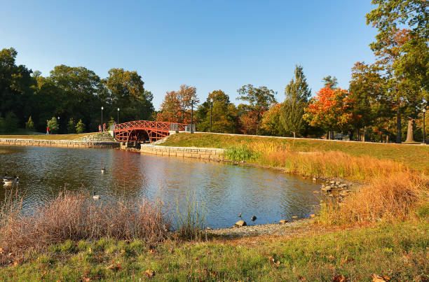 folhagens de outono no parque elm em worcester, massachusetts. - worcester - fotografias e filmes do acervo