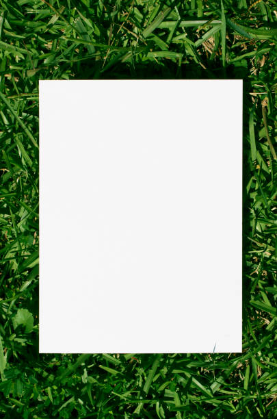 istock Beautiful and simple background of white 1343402263