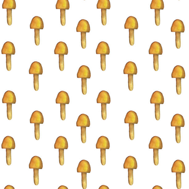 istock Fly cartoon mushroom seamless pattern on white background. Watercolor hand drawing illustration. Perfect for wallpaper, digital paper, textile. Yellow toadstool mushroom. 1343404397