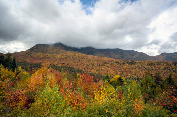 istock Along the Kancamagus Highway 1343404969