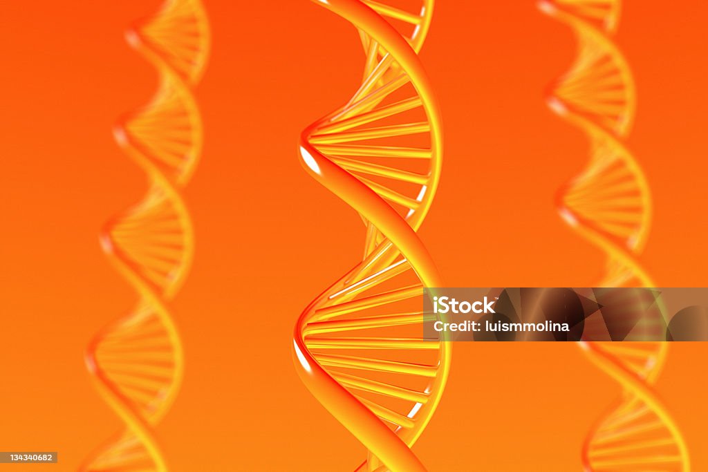 Il Dna - Foto stock royalty-free di Biologia