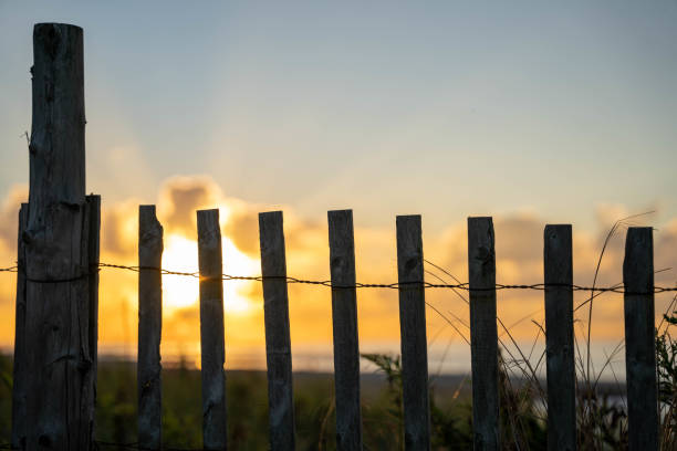 Fence on Sand Dunes at The Beach at Sunset