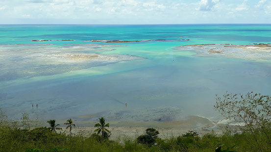 natural sea pools of the coral reefs barrier in Maragogi, Alagoas, Brazil. High quality photo