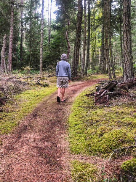 istock Mature adult  man walking on a path 1343408128