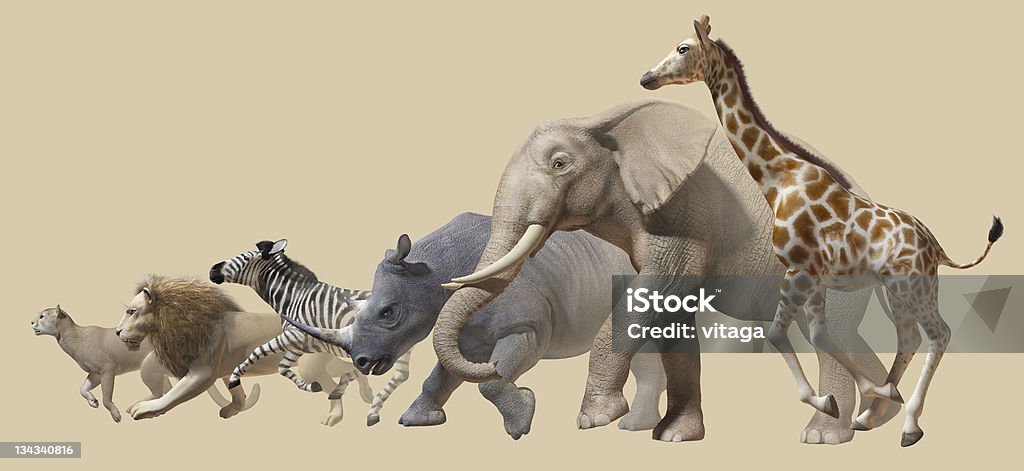 Animais de África - Royalty-free Correr Foto de stock