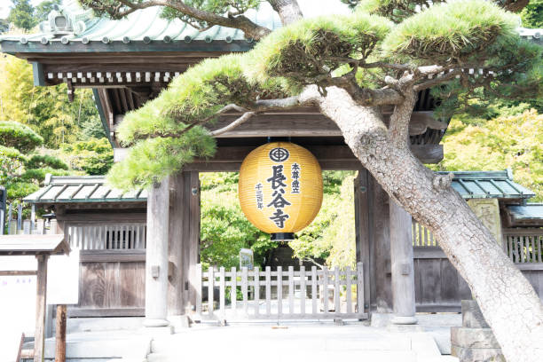 sanmon (puerta principal) del templo hasedera en kamakura - hase temple fotografías e imágenes de stock