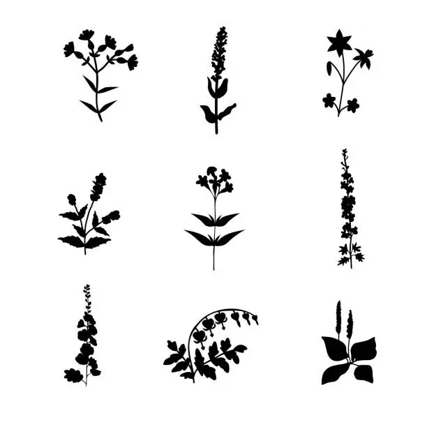 Vector illustration of Vector plants set
