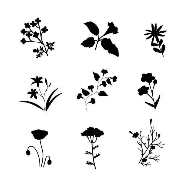 Vector illustration of Vector plants set