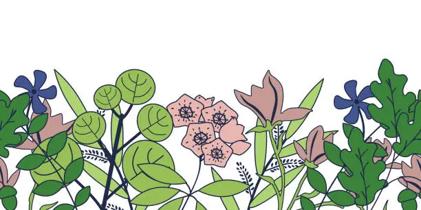 Vector illustration of Seamless plants background