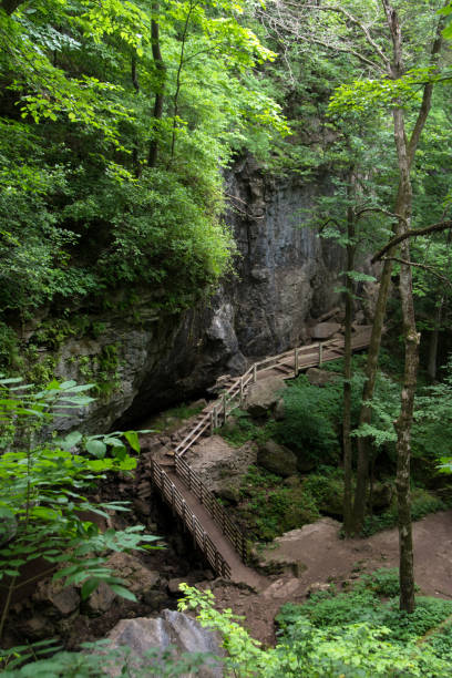 istock Maquoketa Caves State Park - Descent to the Cave Vertical 1343415537