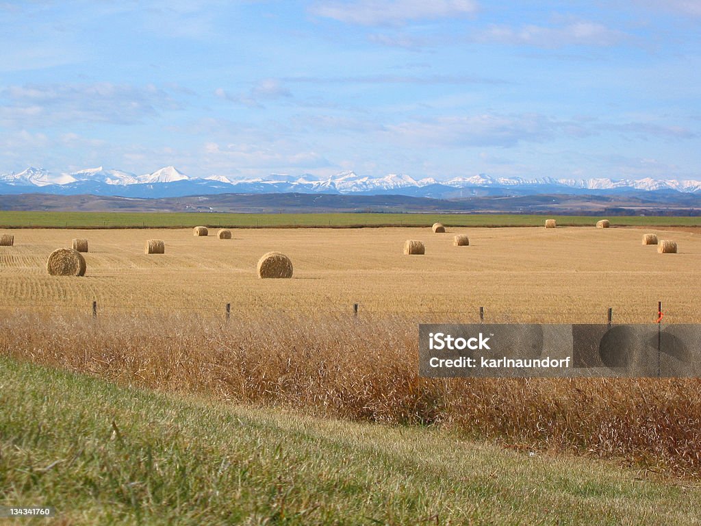 Bales collines et de montagnes, - Photo de Agriculture libre de droits