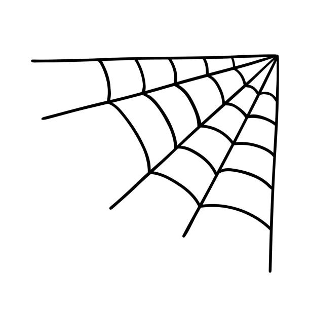 Corner spider web in doodle style Corner spider web isolated on white background. Hand-drawn vector illustration in doodle style. Perfect for cards, logo, holiday and Halloween designs, decorations. spider web stock illustrations