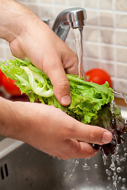 istock man washing salad leaves 134343334