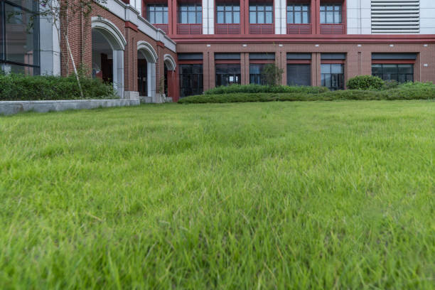 istock Deserted lawns and old buildings 1343441269